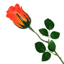 Экологичная роскошь цветы для дома 2025